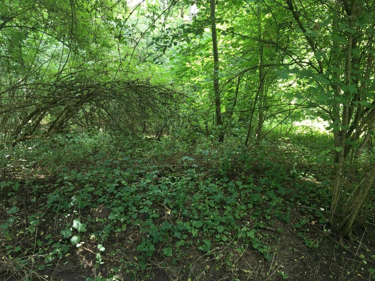 Un Coin De Foret Courmas ภายนอก รูปภาพ